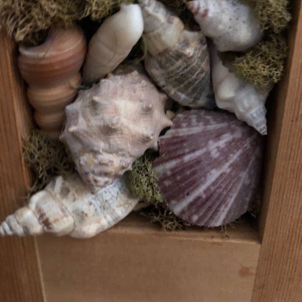 Handmade shell decor - Picture 2 of 3